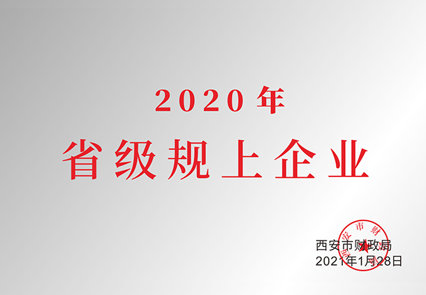 2020年省級(jí)規(guī)上企業(yè)