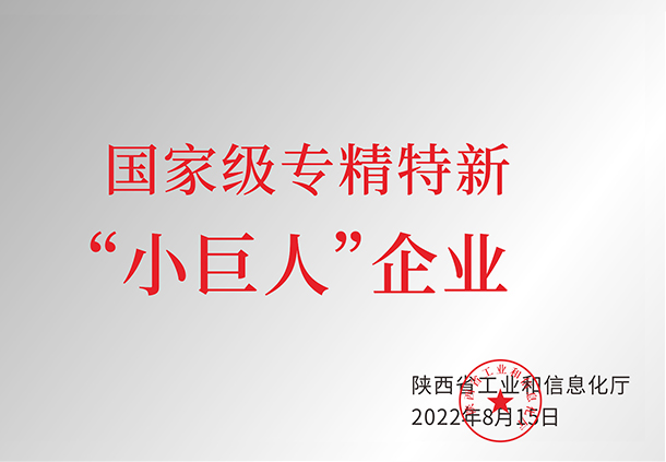 國(guó)家級(jí)專(zhuān)精特新“小巨人”企業(yè)