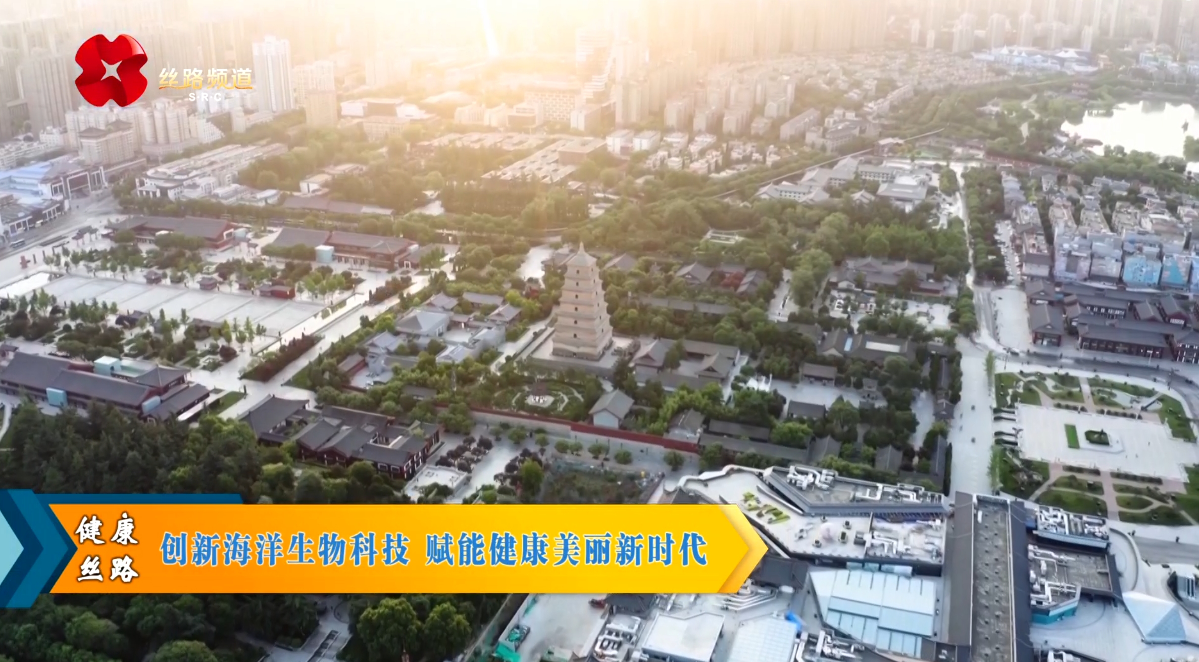 微信截圖_20240823092446 微信截圖_20240823092446